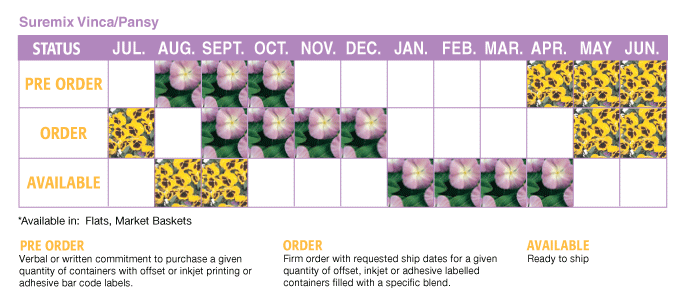 when to order vinca pansy